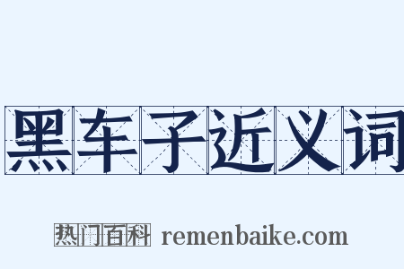 黑车子近义词是什么意思的图片